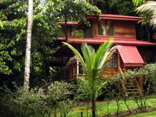 Costa Rica-Caribbean Coast-Caribbean Delight